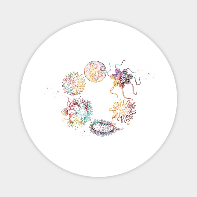 Human viruses and microbes Magnet by erzebeth